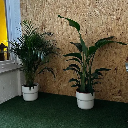 Charming From Xix Century 3*